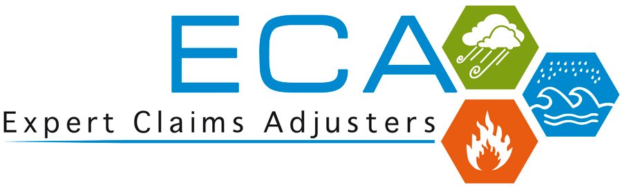 ECA SYSTEM